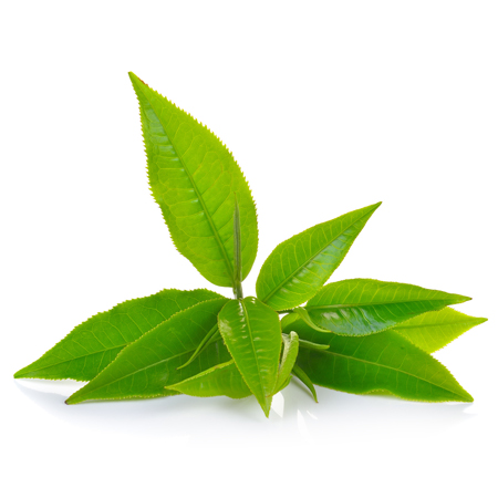 ceai verde pentru imunitate